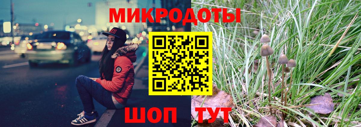 Галлюциногенные грибы GOLDEN TEACHER  Вход с VPN  купить наркотики сайты  Муравленко 
